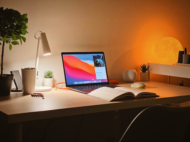 A study set up including a laptop, lighting, plants and a book.