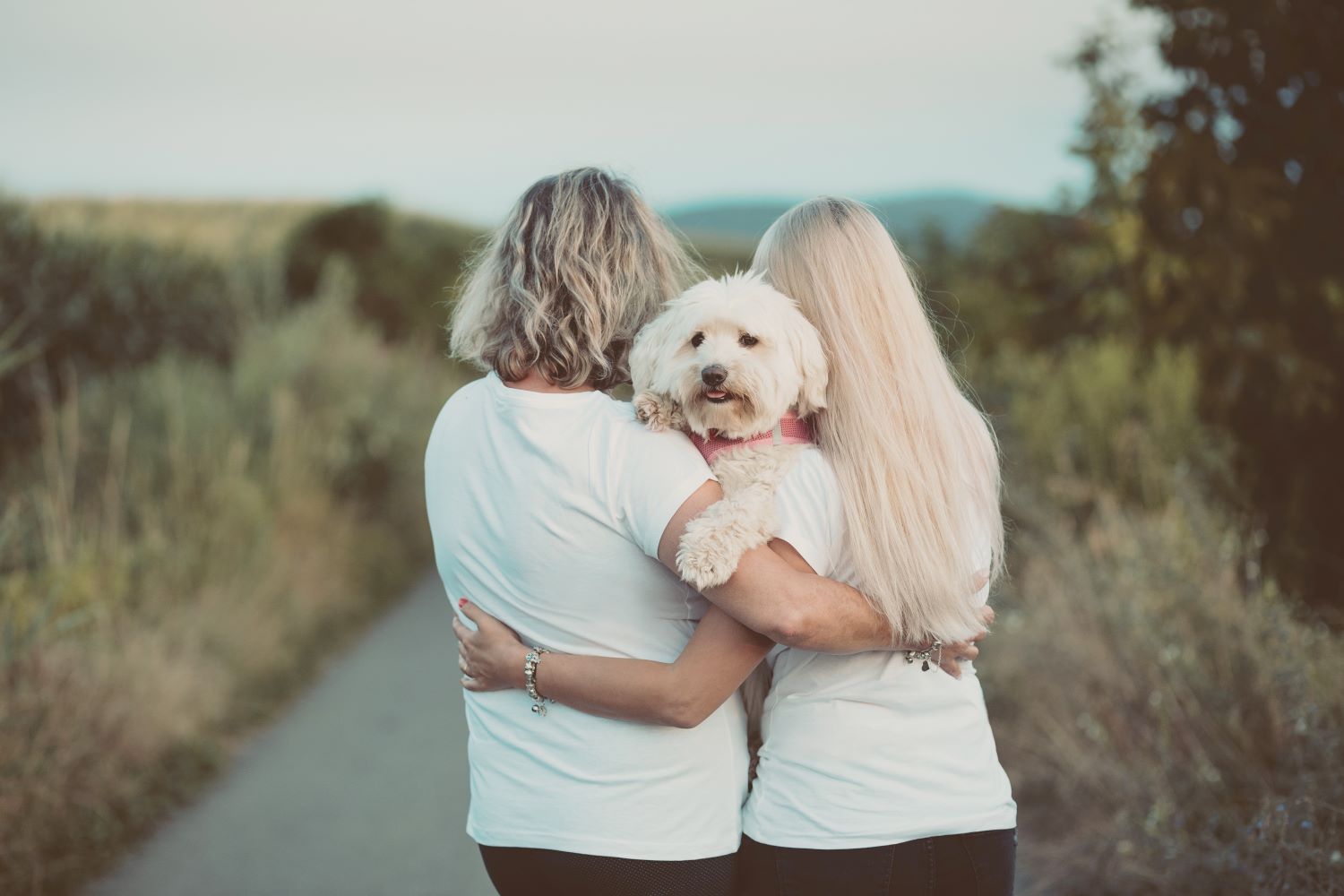 Embracing pet parenthood. 2 people holding the dogs in their arms.